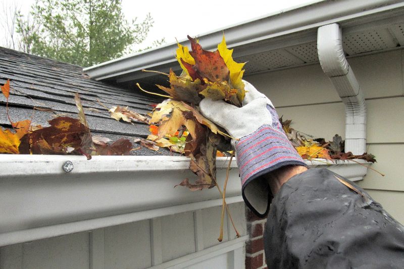 Gutter Cover with Snow and Leaves