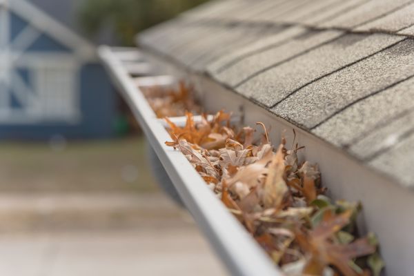 Leaf Barrier Installation in Dunedin