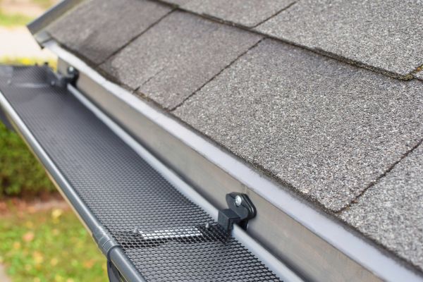Rain Gutter Cover Installation in Dunedin